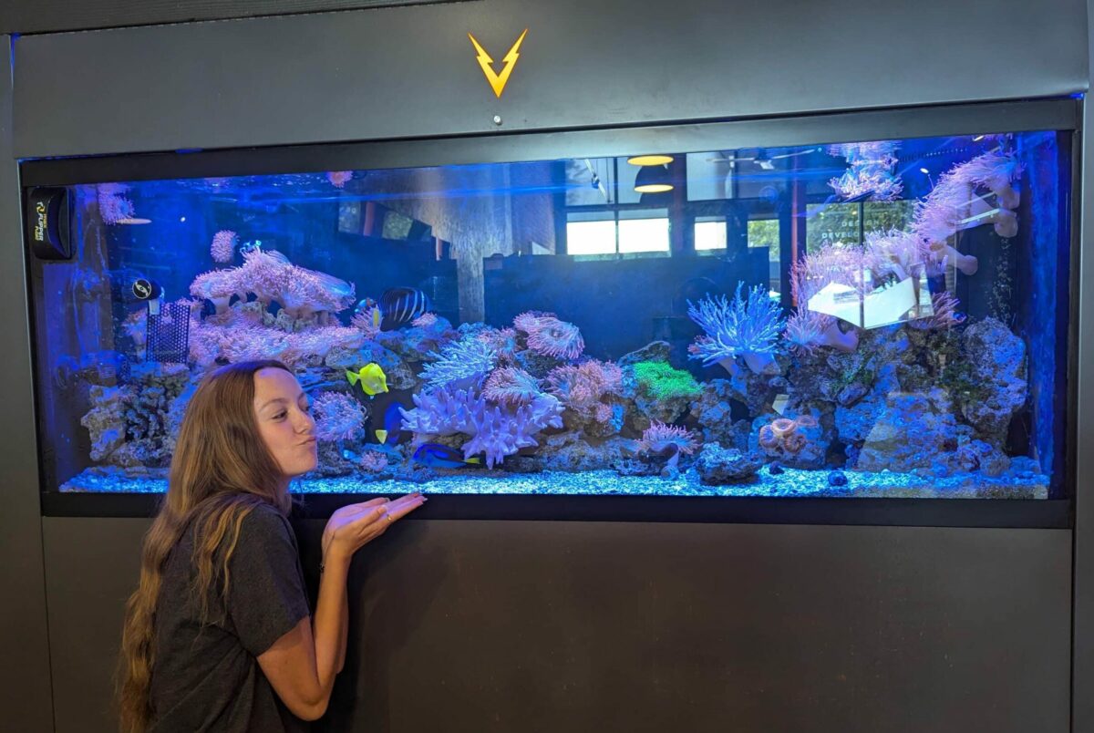 Intern Emily making a kissing face to the fish in the VOLTAGE fish tank