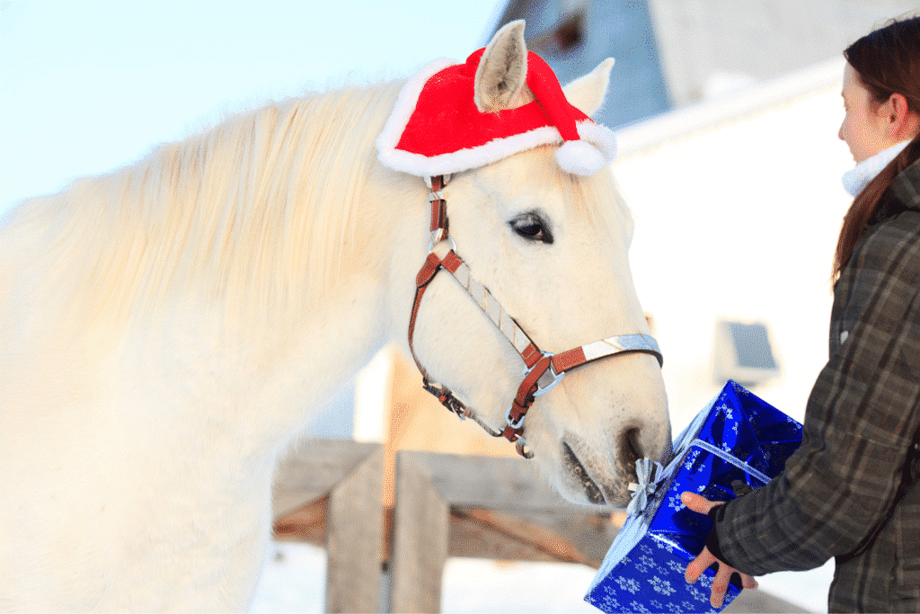 horse gifts