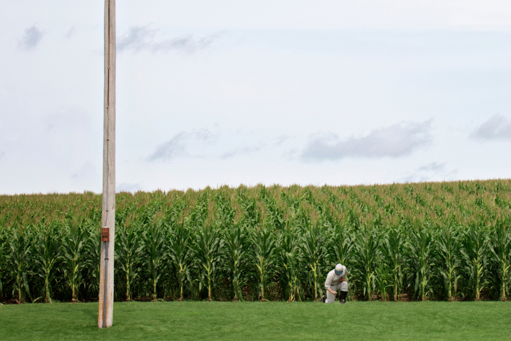 Field of Dreams